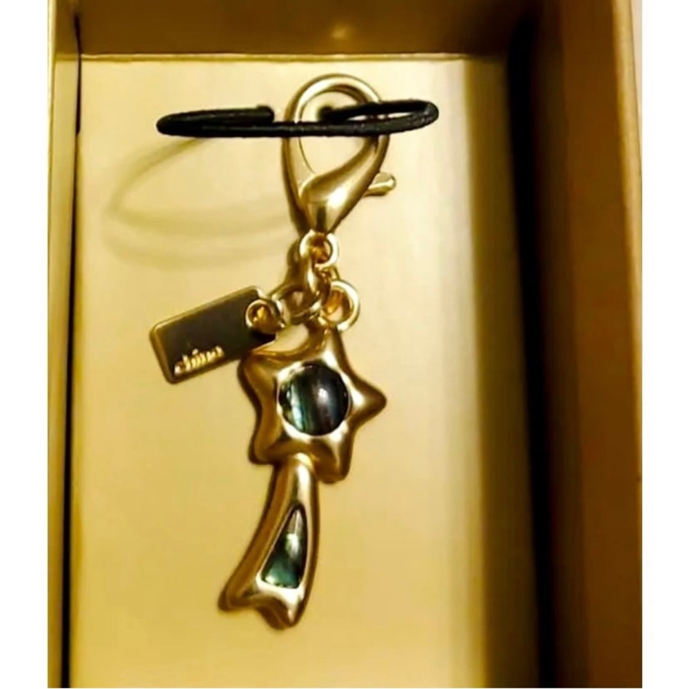 NWOT Coach Removable key chain bag charm Green gold Color